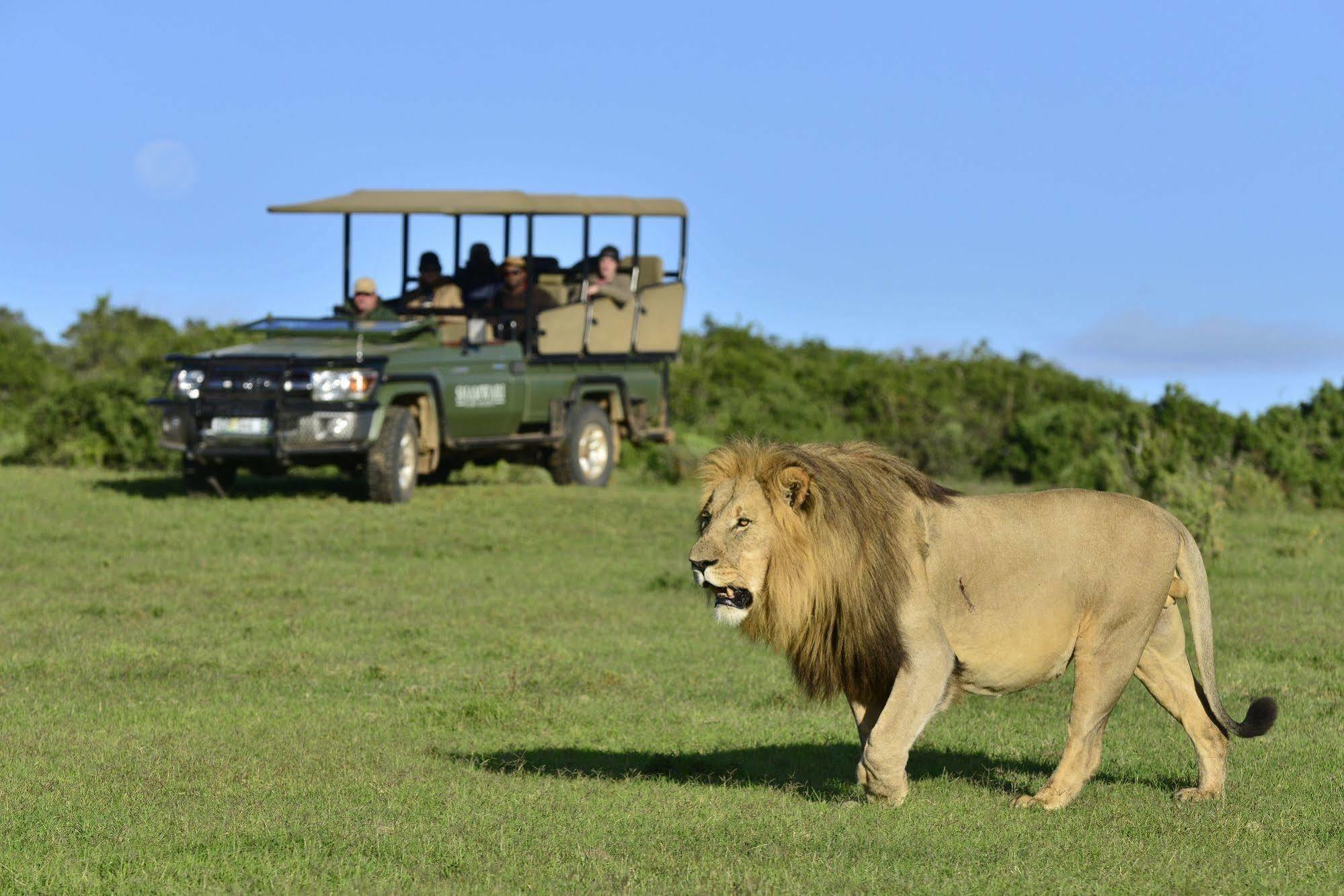 Shamwari Game Reserve Port Elizabeth Eksteriør bilde