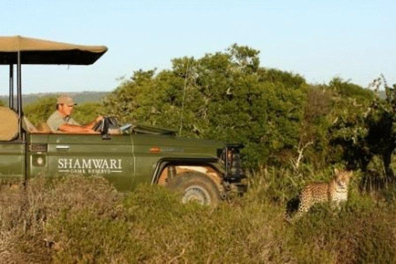 Shamwari Game Reserve Port Elizabeth Eksteriør bilde